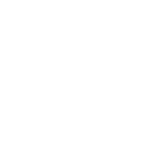 Desert Foxx Logo (Inverted)